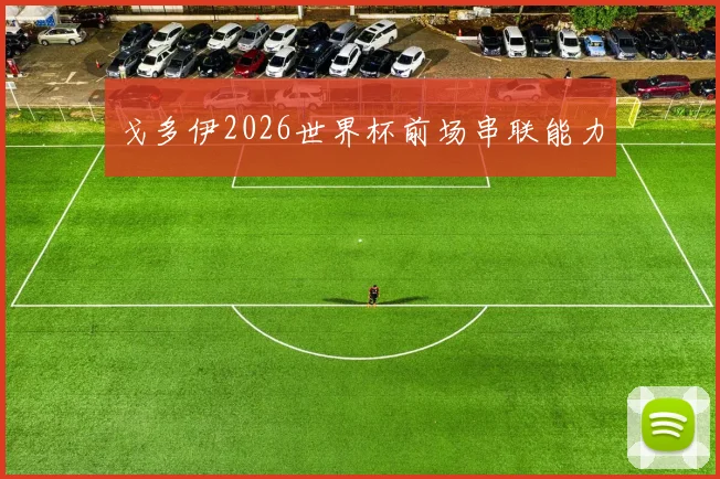 戈多伊2026世界杯前场串联能力