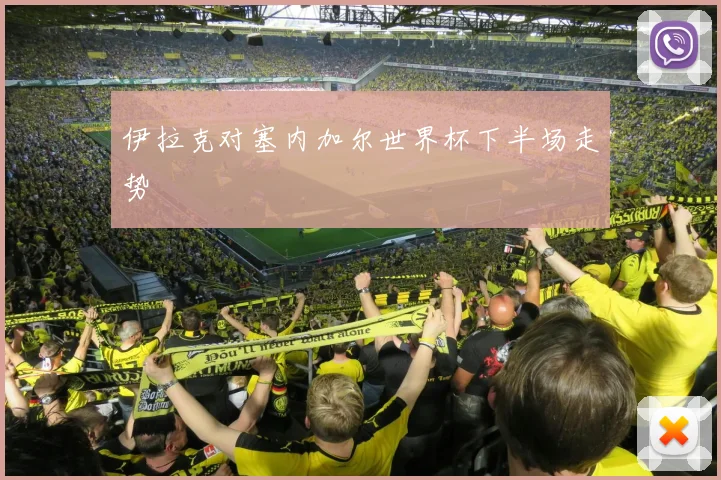 伊拉克对塞内加尔世界杯下半场走势