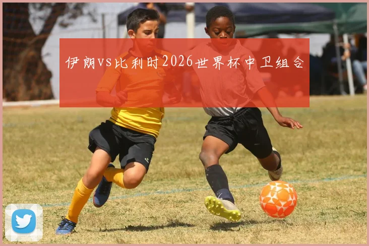 伊朗vs比利时2026世界杯中卫组合