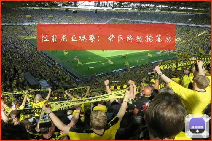 拉菲尼亚观察：禁区终结抢落点